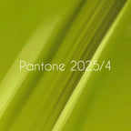 NAILSOFTHEDAY Gel polish Pantone 2025/4, 10 ml
